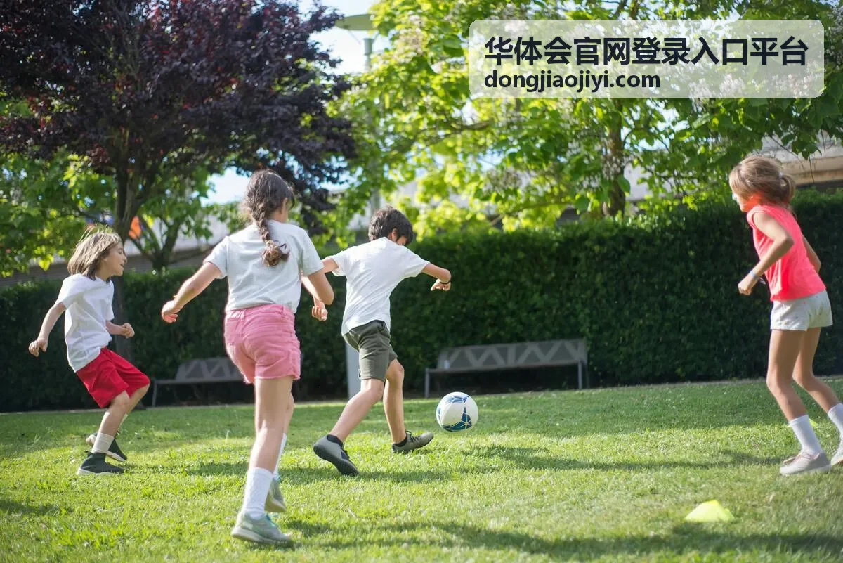 华体会官网登录入口平台使用答疑指引中的登录卡点排查顺序示意
