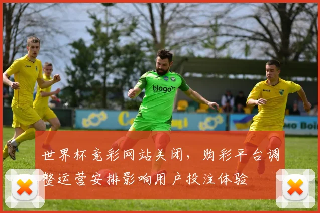 世界杯竞彩网站关闭，购彩平台调整运营安排影响用户投注体验