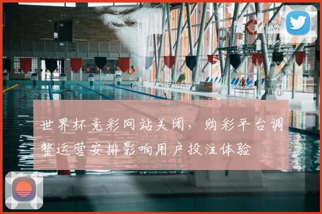 世界杯竞彩网站关闭，购彩平台调整运营安排影响用户投注体验