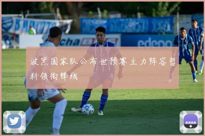 波黑国家队公布世预赛主力阵容哲科领衔锋线