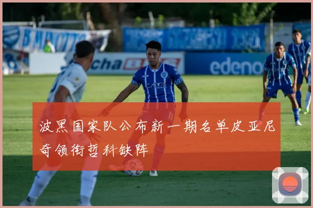 波黑国家队公布新一期名单皮亚尼奇领衔哲科缺阵